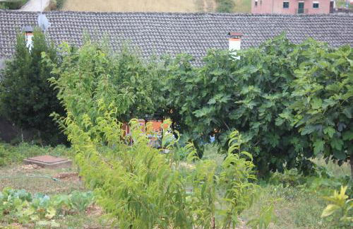 Casa do Campo - Foto 17