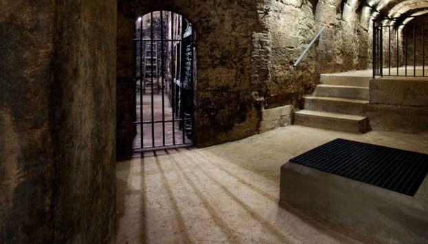 Visita a las bodegas Montecillo - Photo 4