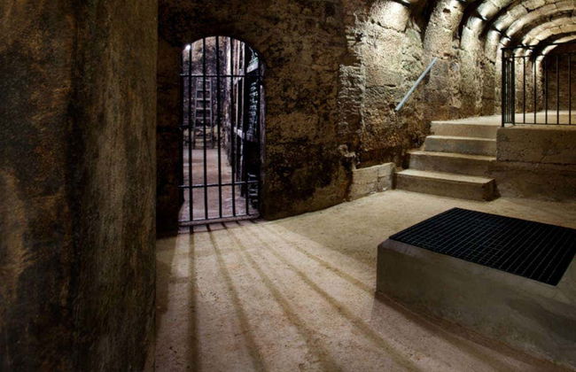 Visita a las bodegas Montecillo - Foto 3