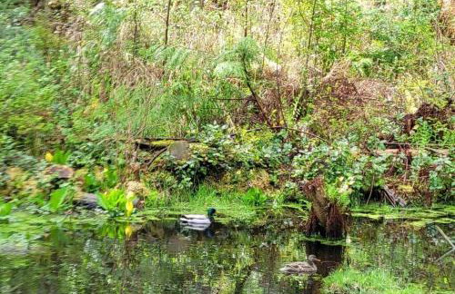 Cozy Tiny House off Mtn Loop Hwy on shared lot - Great for nerby hiking - Foto 34