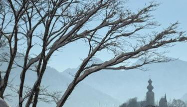 Ferienwohnung Burghartswieser inkl. Chiemgaukarte - Foto 5