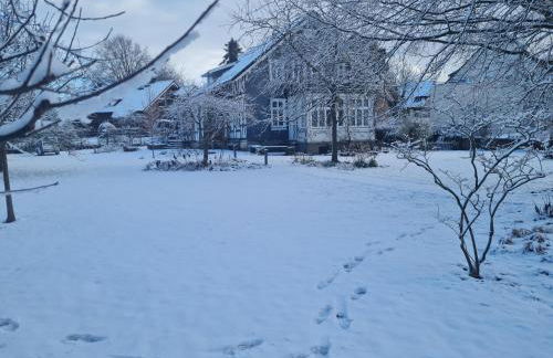 FeWo 110qm mit Balkon an Weser/Glacis/City - Foto 42