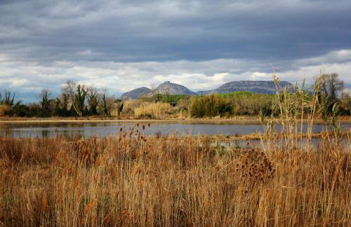 Apartment Medes Platja - Photo 18