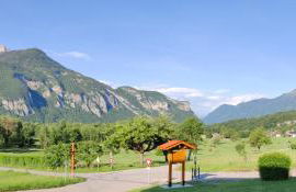 C le birdie - Foto 28