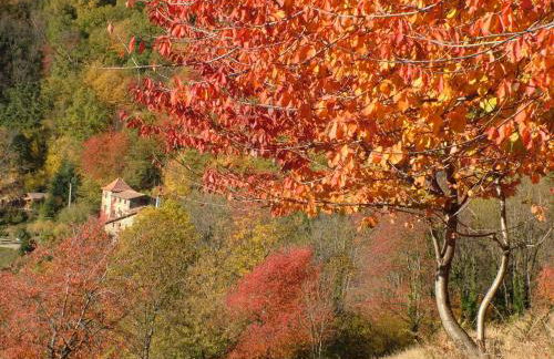 Casa Etxalde - Photo 36