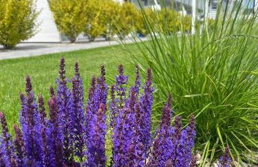 Holiday House Sarbinowo - Photo 63