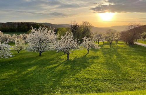 Holzferienhaus - Foto 72