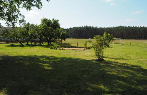 Agroturystyka Pod Orzechem - Foto 25