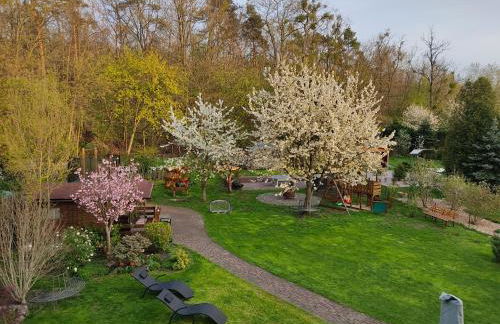 Großzügige Ferienwohnung am Waldesrand im Seenland - Foto 37