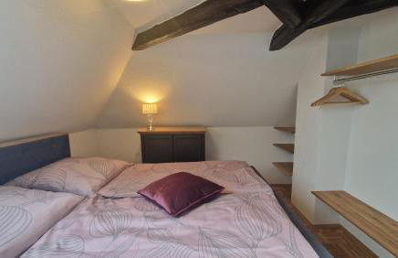 Königsnase - Foto 15