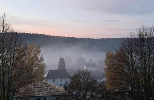 Gemütliche Ferienwohnung mit Sauna und Balkon im Zentrum von Bad Elster - Photo 7