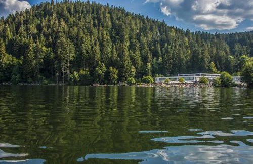 Appart'Hôtel LIDO au bord de l'eau - Foto 66
