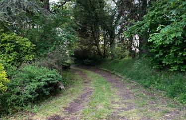 Domaine Les Fontaines - Foto 24