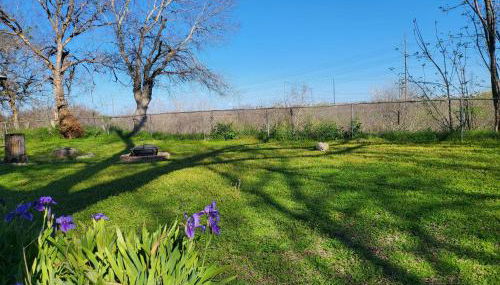 Green Haven Studio near Austin Airport COTA - Foto 3