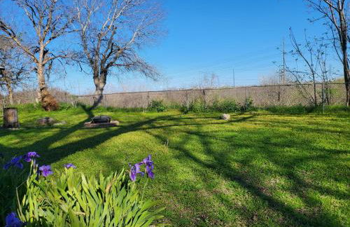 Green Haven Studio near Austin Airport COTA - Foto 3