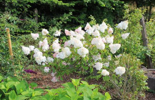 Ferienhaus Däschinger - Foto 66