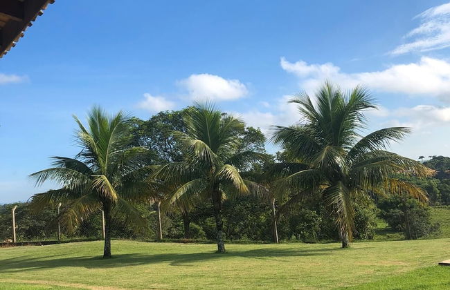 Sítio Refúgio do Alto - Photo 68