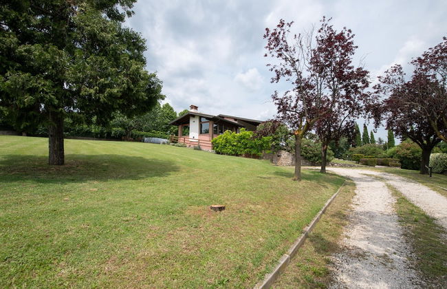 Piccola Pepita - Foto 46