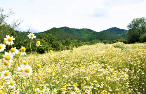 Agriturismo Malvista - Foto 10