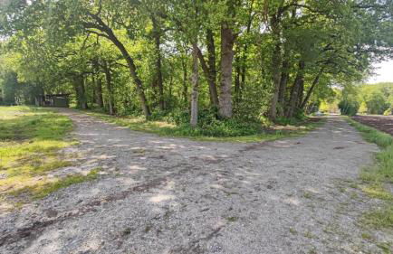 Ruheoase am Wald 35651 - Photo 9