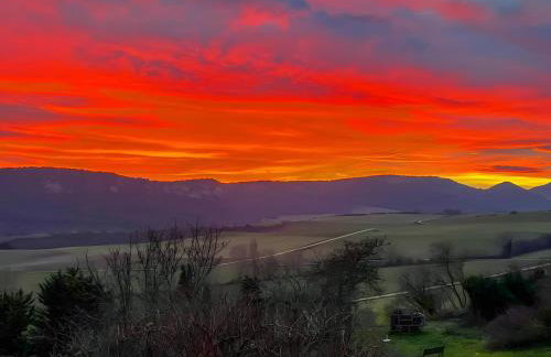 Berrobiaenea naturaleza y armonia - Photo 6