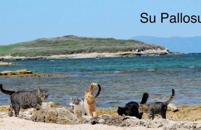 La casa storica - Foto 31