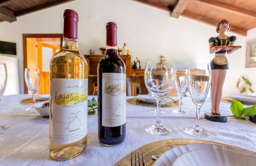 Lagar de Beuvas - Foto 18