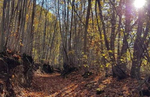 Agriturismo Roccamaia - Foto 37