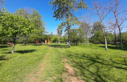 Tiny House Grabovac - Foto 38