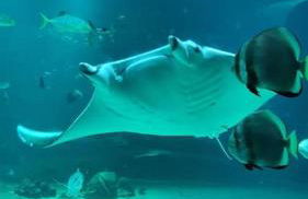 Maison La Côte - Foto 31