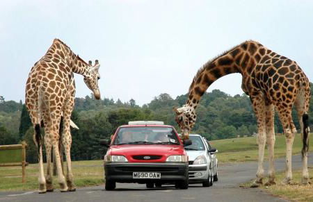 Stylish 2 Bedroom Cottage With Hot Tub And Parking - Foto 34