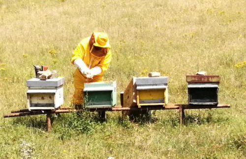 Agriturismo Podere Tegline - Foto 38