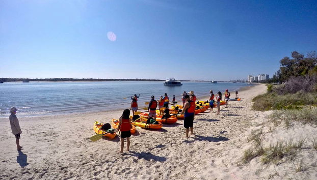 Kayak and Snorkel Dolphin-Watching Tour - Photo 3