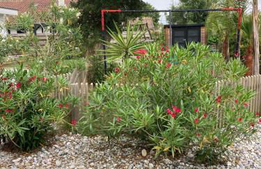 villa bord de mer 400 M de la plage - Foto 25