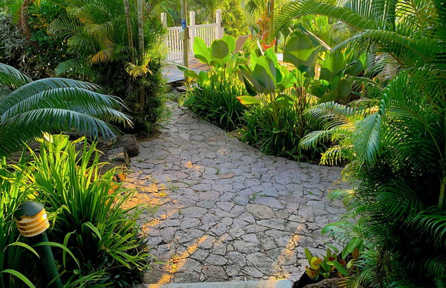 Red Coconut Self Catering - Photo 42