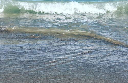 Mare&Terra... Alloggi nel Delta - Foto 25