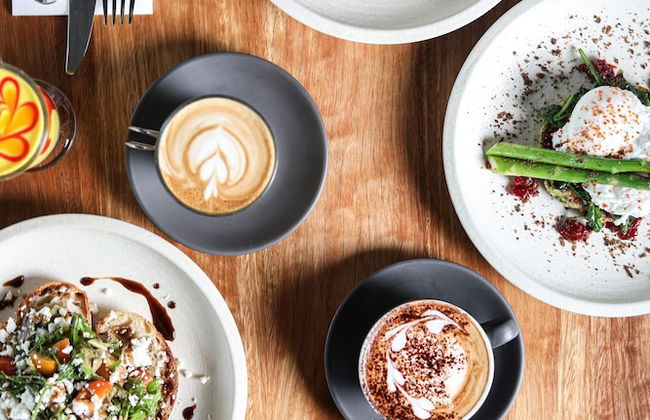 Nesuto Canberra - Foto 38