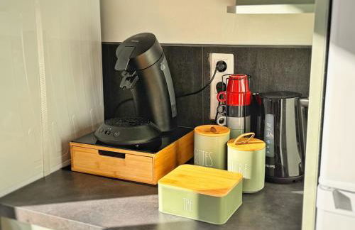 Hellébore - Cosy avec garage - Foto 13