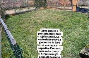 APPARTAMENTI DOLCETURISMO FONTECAIME...RELAX... - Foto 3