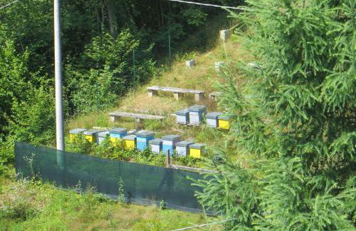 Agriturismo Bastià - Foto 24