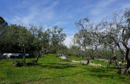 Holiday House Istria with Private pool and Sea View - Foto 34