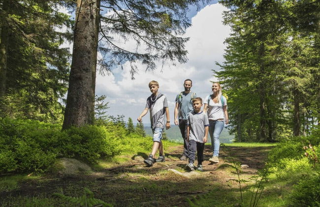 History and Luxus - Foto 15