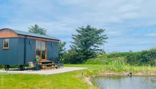 Aberdaron Shepherd Huts - Foto 5