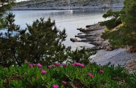 Holiday Lodge M3 - Foto 38