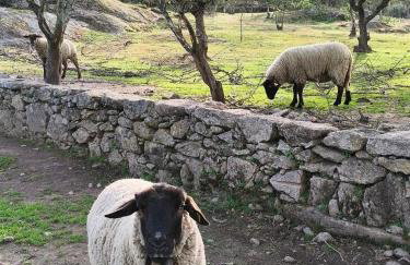 Tapada das Carvalhas - Foto 17