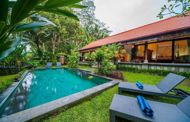 Infinity Jungle View Aashaya Villa Ubud - Photo 30
