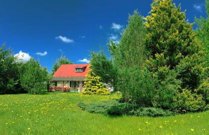 Agroturystyka Falinka - Foto 27