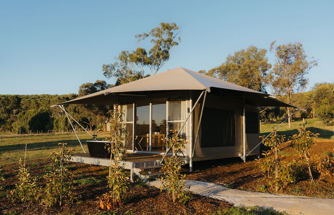 CANVS by CABN Seppeltsfield Barossa - Foto 9