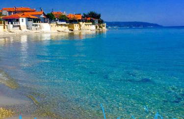 Magic Mola - Foto 15