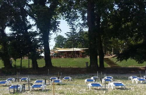 Les Bambous - Rez de jardin Millau Centre - Parking privatif, wifi - Foto 23